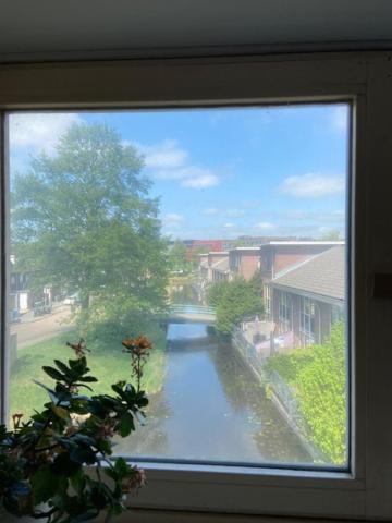 Apartamento Tinyhouse Woody At The Water Zaandam Exterior foto