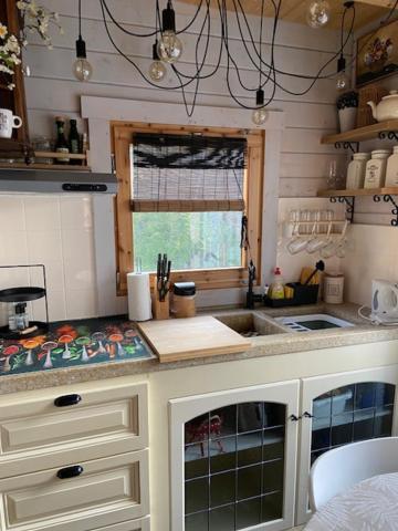 Apartamento Tinyhouse Woody At The Water Zaandam Exterior foto