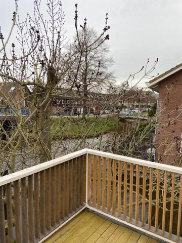 Apartamento Tinyhouse Woody At The Water Zaandam Exterior foto