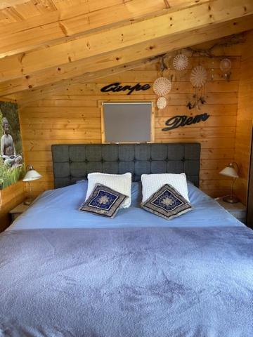 Apartamento Tinyhouse Woody At The Water Zaandam Exterior foto